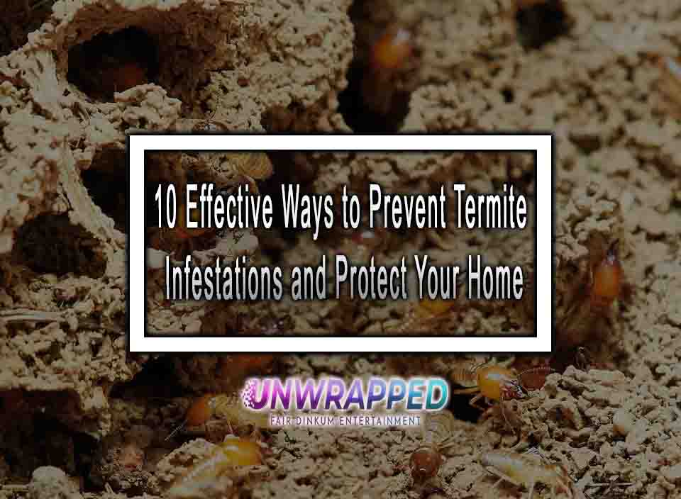 10 Effective Ways to Prevent Termite Infestations and Protect Your Home