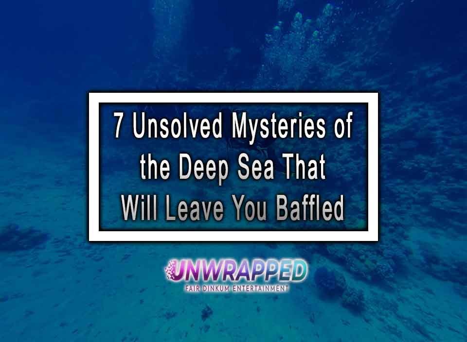 Dive Deep Uncovering The Mysteries Still Lurking At The Old Bath House San Francisco - sh96s4o