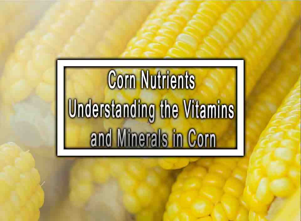 Corn Nutrients Understanding the Vitamins and Minerals in Corn