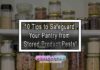10 Tips to Safeguard Your Pantry from Stored Product Pests!