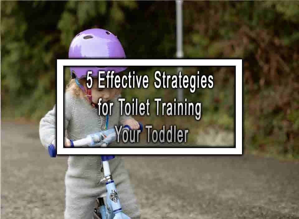 5 Effective Strategies for Toilet Training Your Toddler