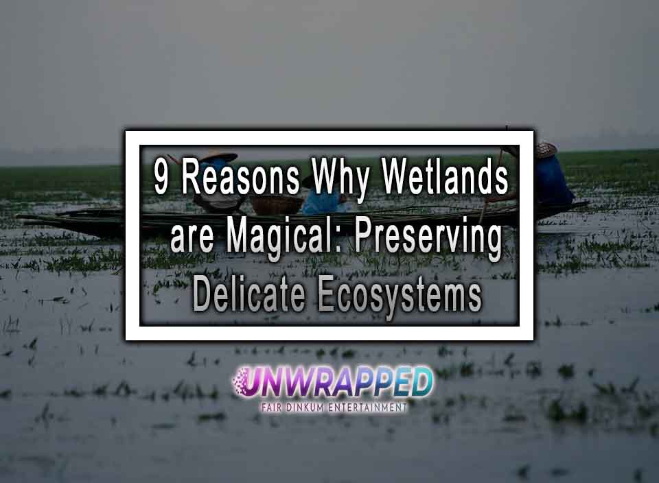 9 Reasons Why Wetlands are Magical Preserving Delicate Ecosystems