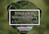 Biodegradable Technology: Shaping a Sustainable Future