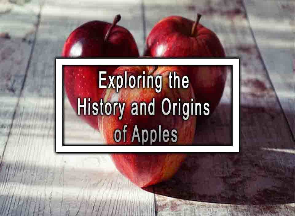 Exploring the History and Origins of Apples