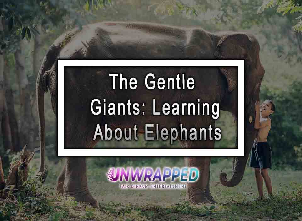 The Gentle Giants Learning About Elephants