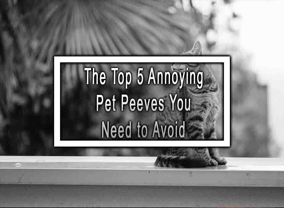 The Top 5 Annoying Pet Peeves You Need to Avoid