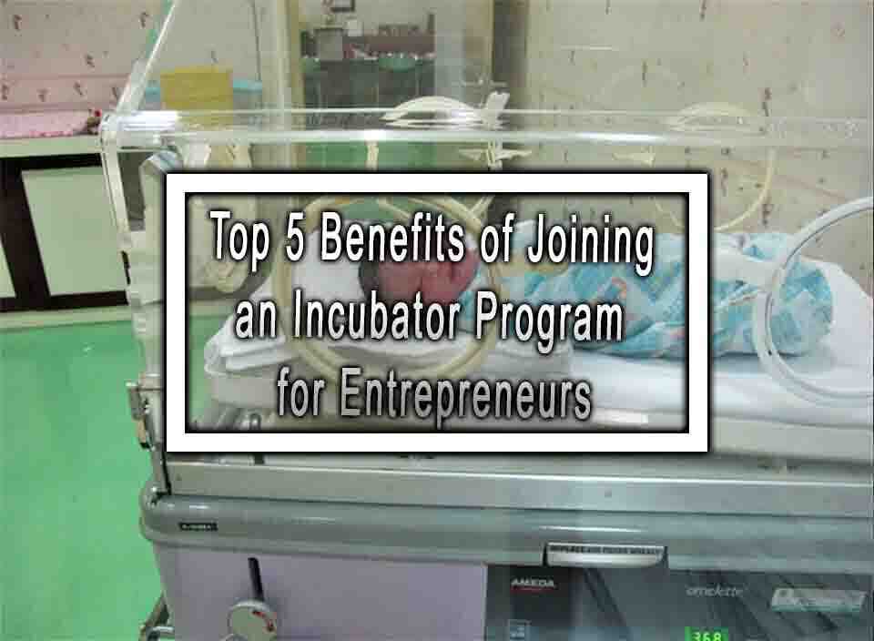 Top 5 Benefits of Joining an Incubator Program for Entrepreneurs