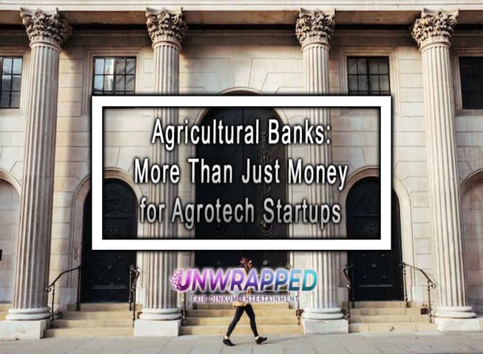 Agricultural Banks: More Than Just Money for Agrotech Startups