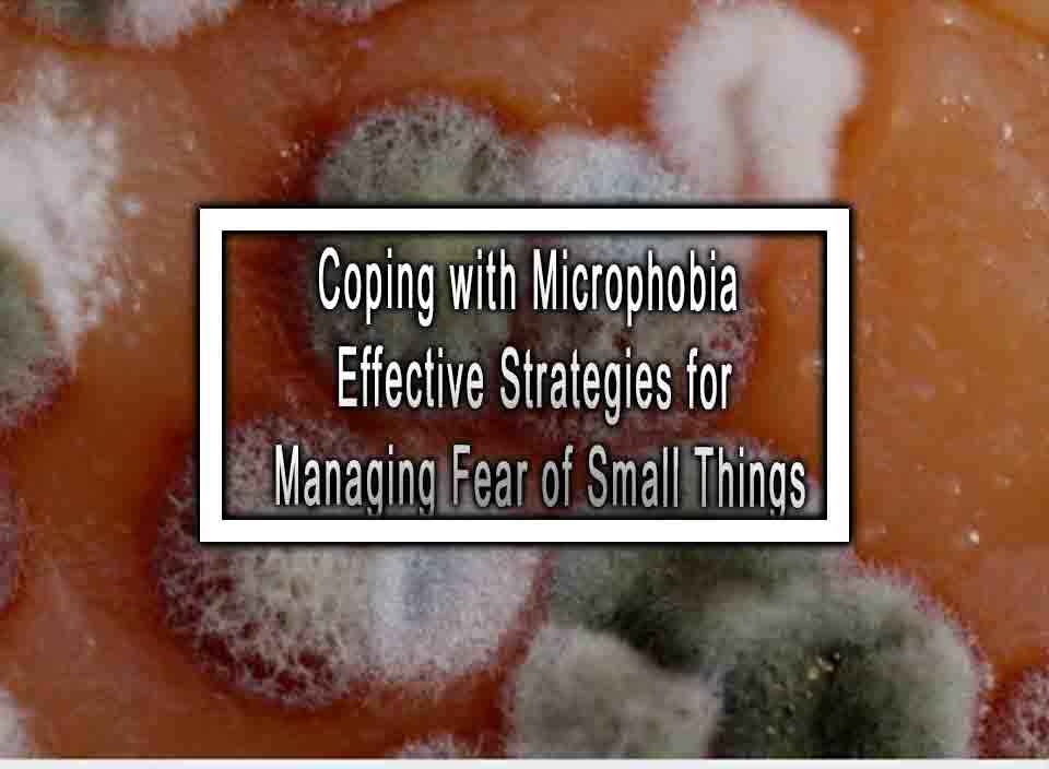 Coping with Microphobia Effective Strategies for Managing Fear of Small ...