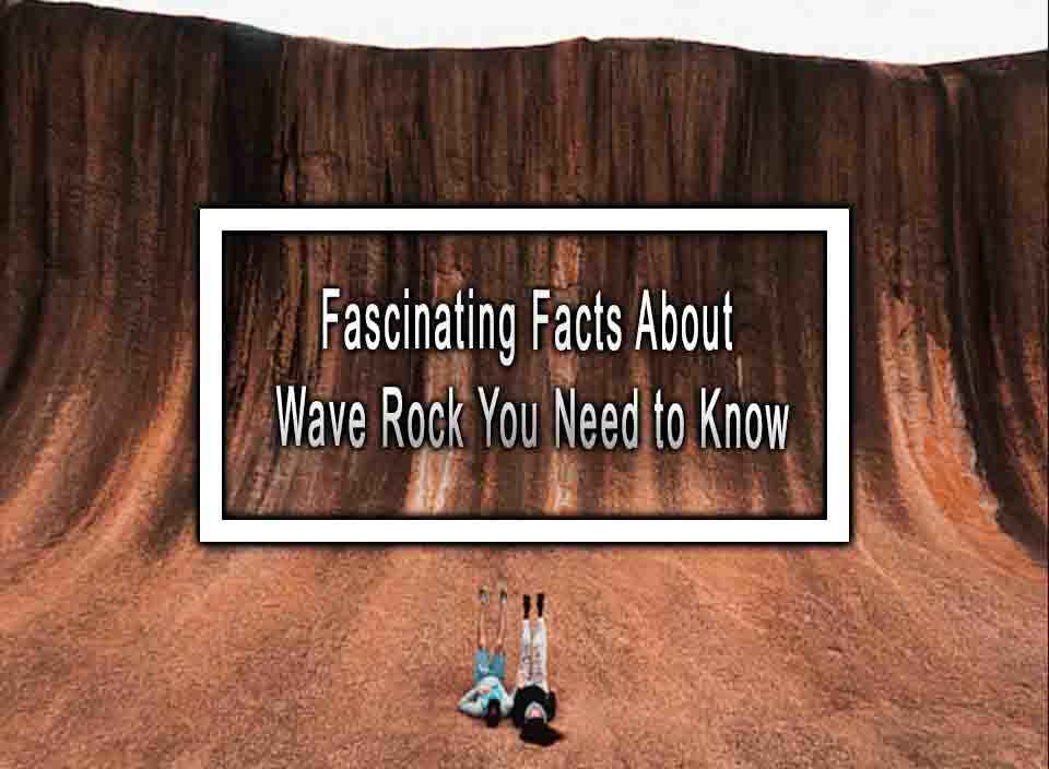 Fascinating Facts About Wave Rock You Need to Know