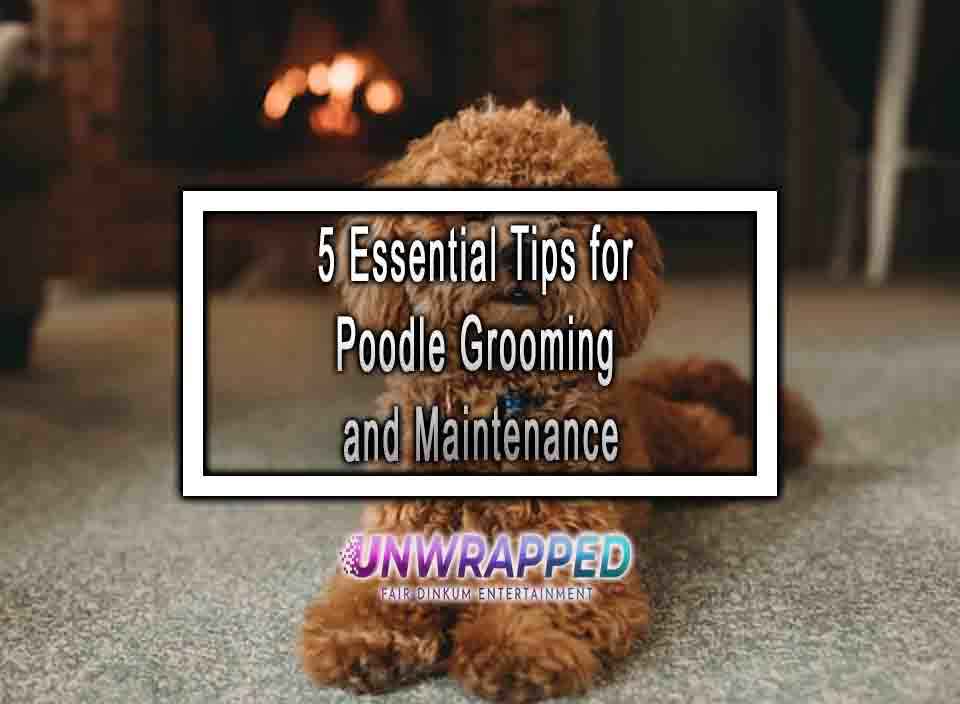 5 Essential Tips for Poodle Grooming and Maintenance