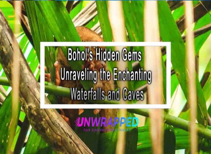 Bohol's Hidden Gems Unraveling the Enchanting Waterfalls and Caves