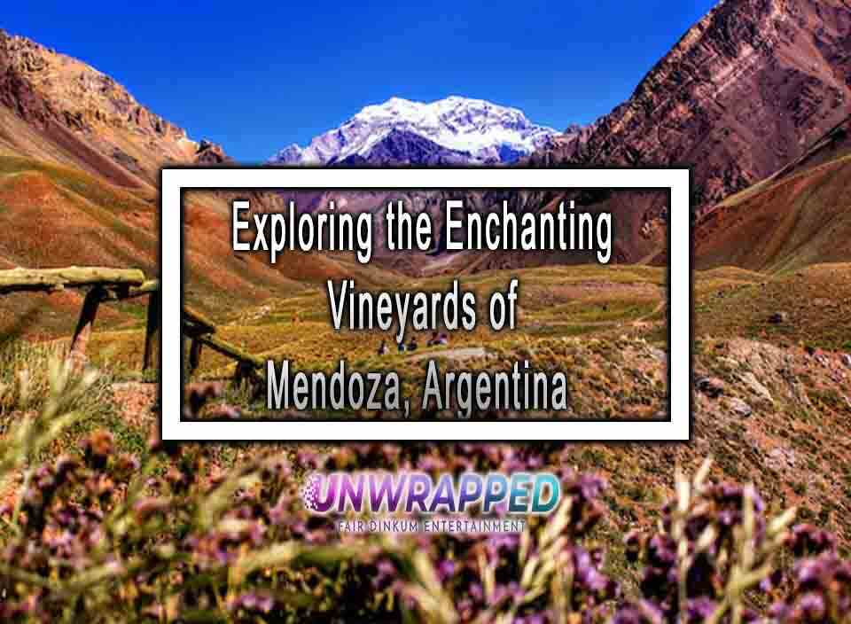 Exploring the Enchanting Vineyards of Mendoza, Argentina