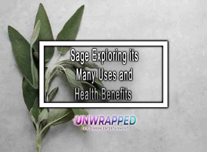 Sage Exploring its Many Uses and Health Benefits