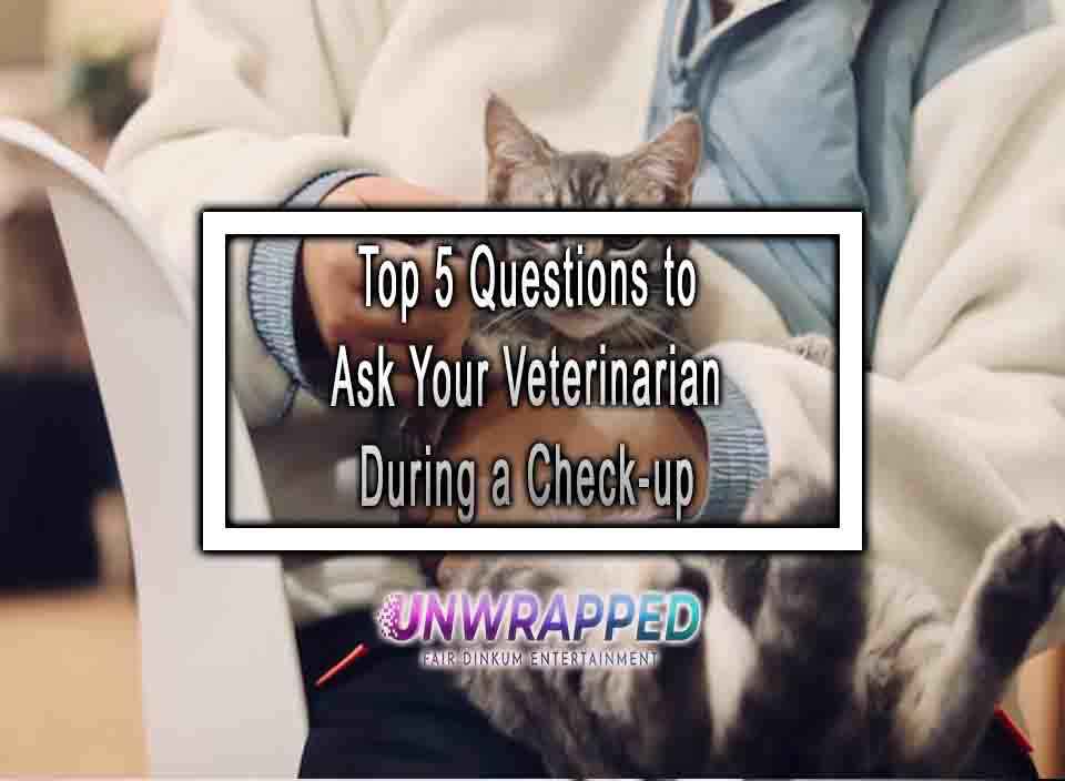 Top 5 Questions to Ask Your Veterinarian During a Checkup