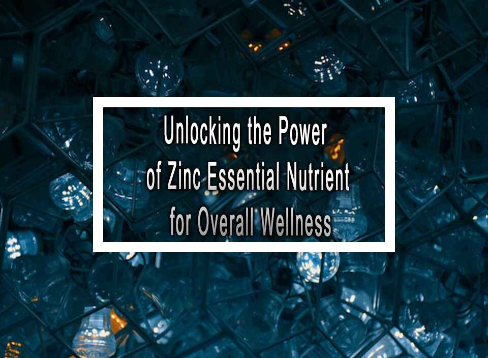 Unlocking the Power of Zinc Essential Nutrient for Overall Wellness
