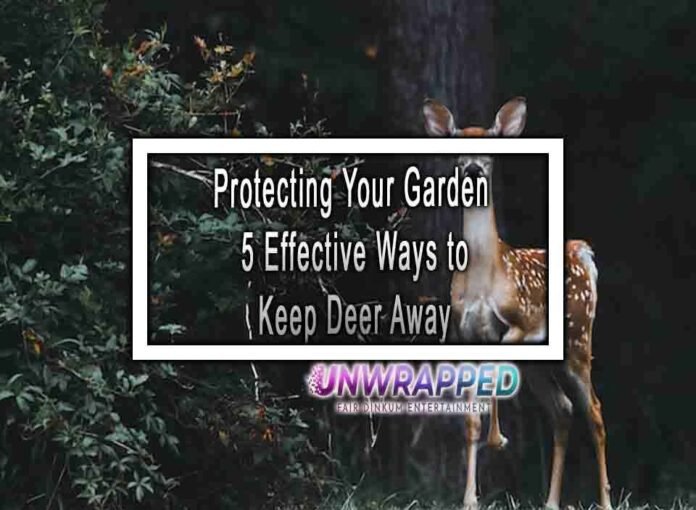 Protecting Your Garden 5 Effective Ways to Keep Deer Away