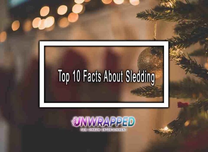 Top 10 Facts About Sledding