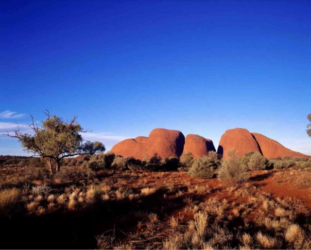 The Alice Springs