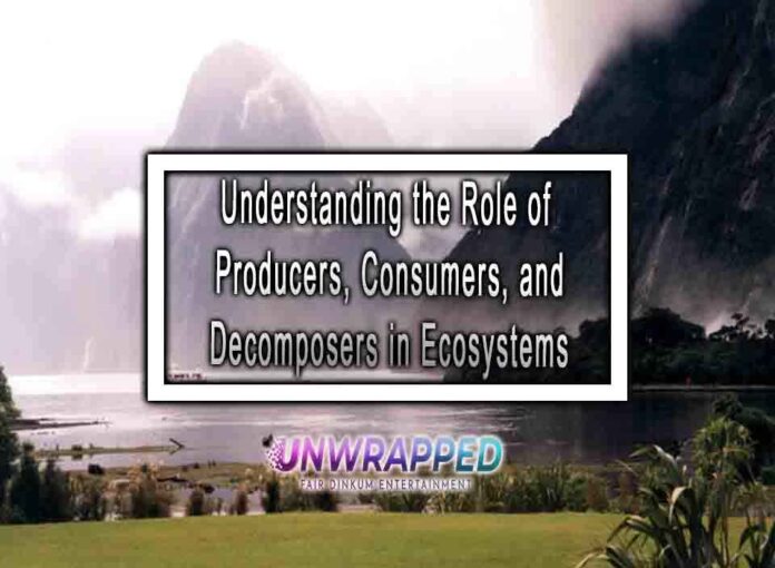 Understanding the Role of Producers, Consumers, and in