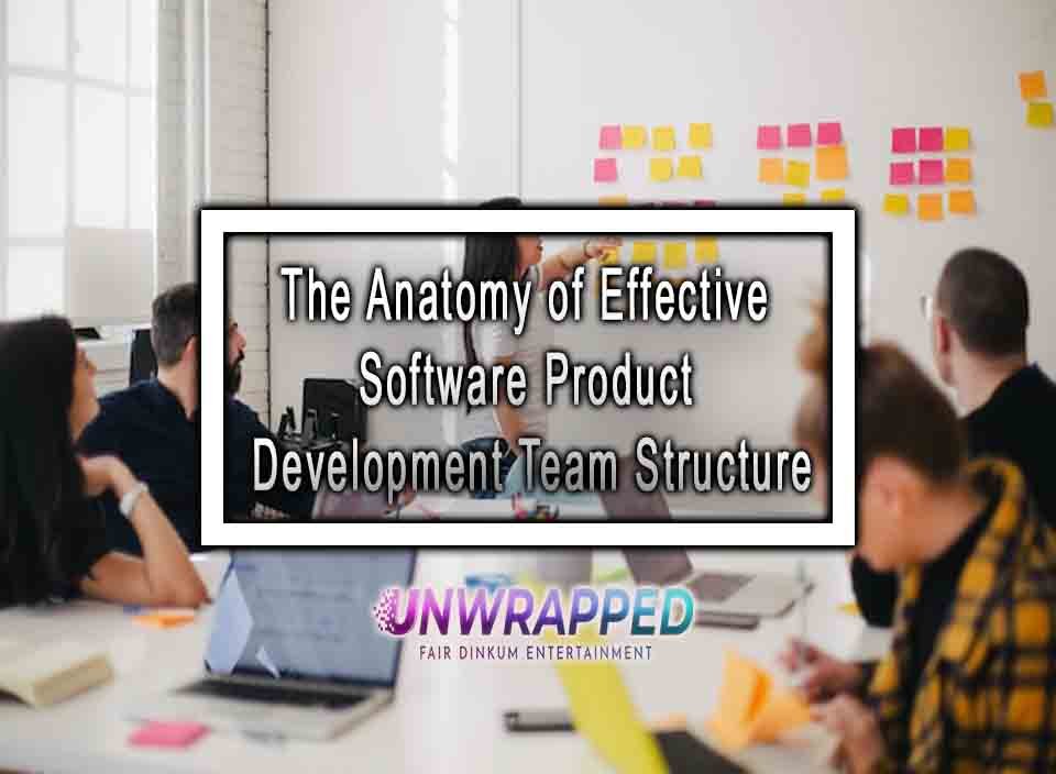 The Anatomy of Effective Software Product Development Team Structure