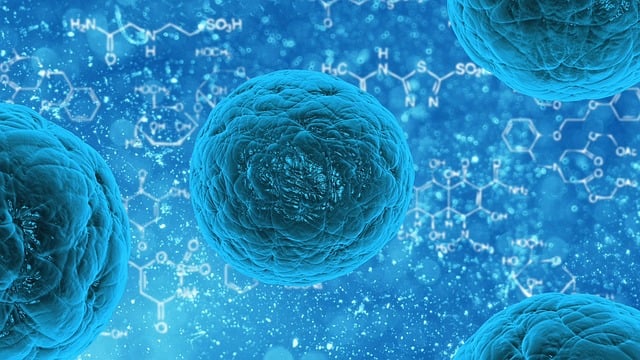 Geobacter Sulfurreducens