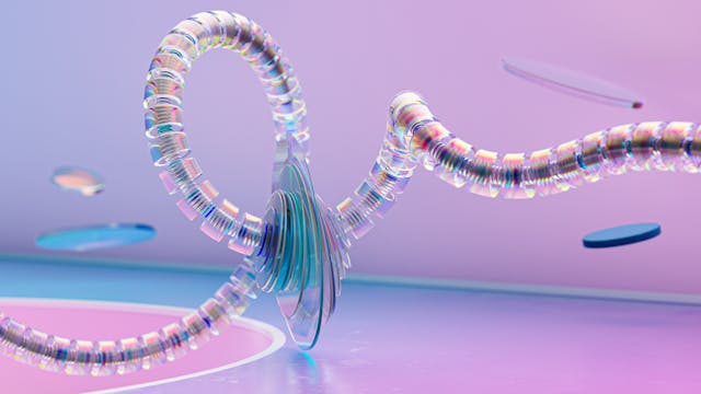 Biofilm Dynamics
